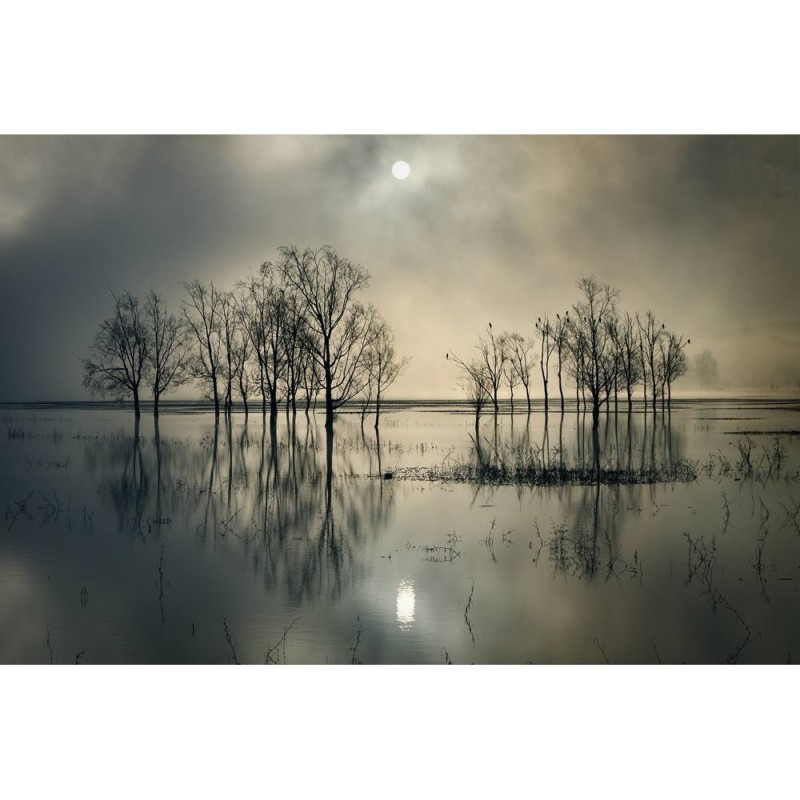 MARBURG | Lake's Secret Art